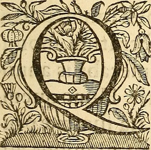 An illustration from Ioannis Veslingii ... Syntagma anatomicum, 1647, leaf 12