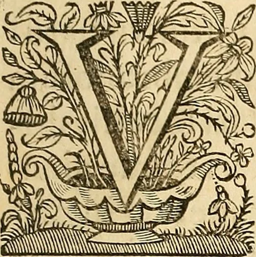 An illustration from Ioannis Veslingii ... Syntagma anatomicum, 1647, leaf 128