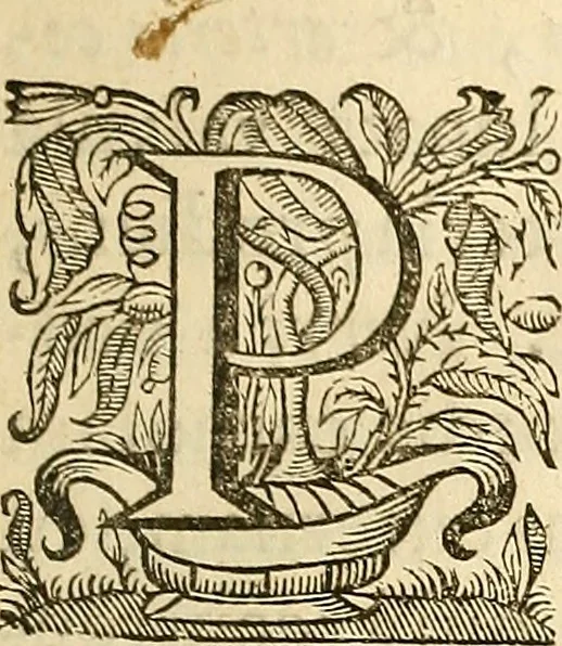 An illustration from Ioannis Veslingii ... Syntagma anatomicum, 1647, leaf 140