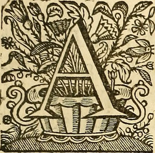 An illustration from Ioannis Veslingii ... Syntagma anatomicum, 1647, leaf 158