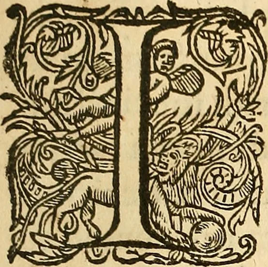 An illustration from Ioannis Veslingii ... Syntagma anatomicum, 1647, leaf 178