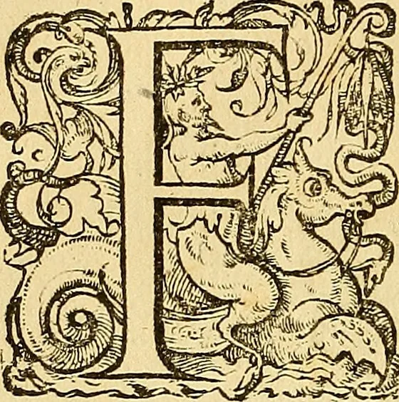 An illustration from Ioannis Veslingii ... Syntagma anatomicum, 1647, leaf 19