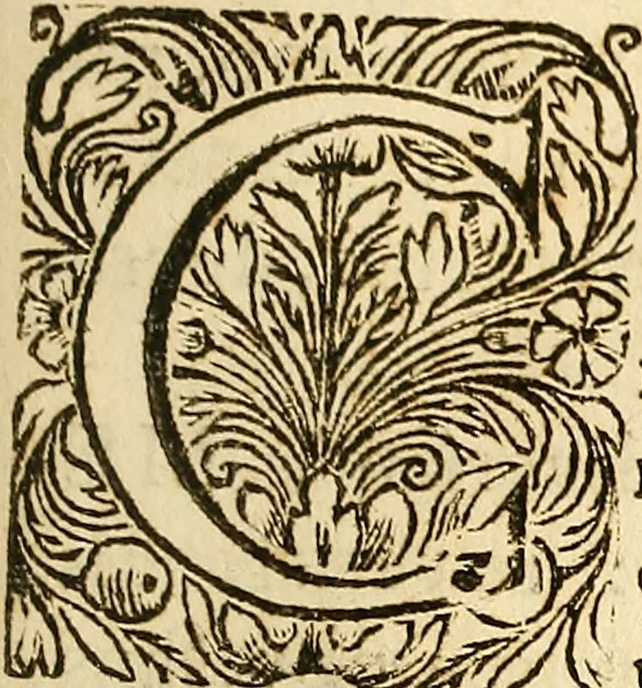 An illustration from Ioannis Veslingii ... Syntagma anatomicum, 1647, leaf 194