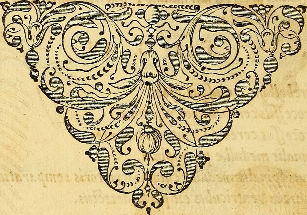 An illustration from Ioannis Veslingii ... Syntagma anatomicum, 1647, leaf 217