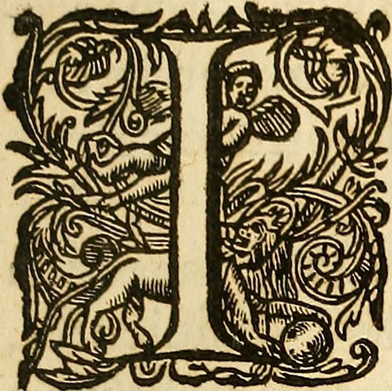 An illustration from Ioannis Veslingii ... Syntagma anatomicum, 1647, leaf 220