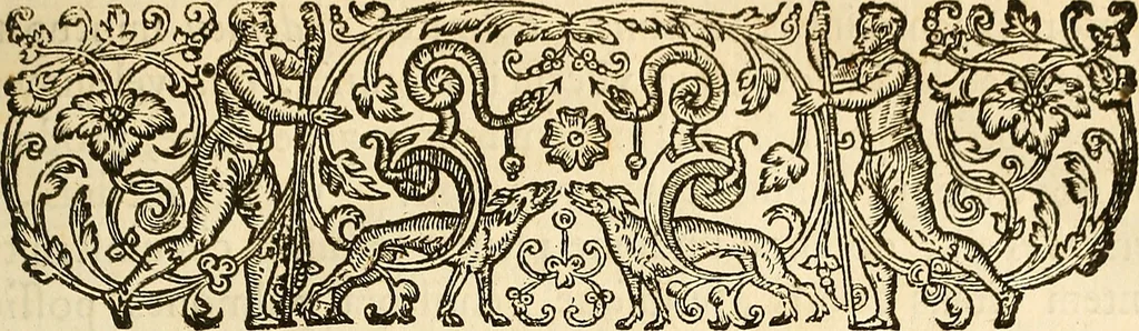 An illustration from Ioannis Veslingii ... Syntagma anatomicum, 1647, leaf 24