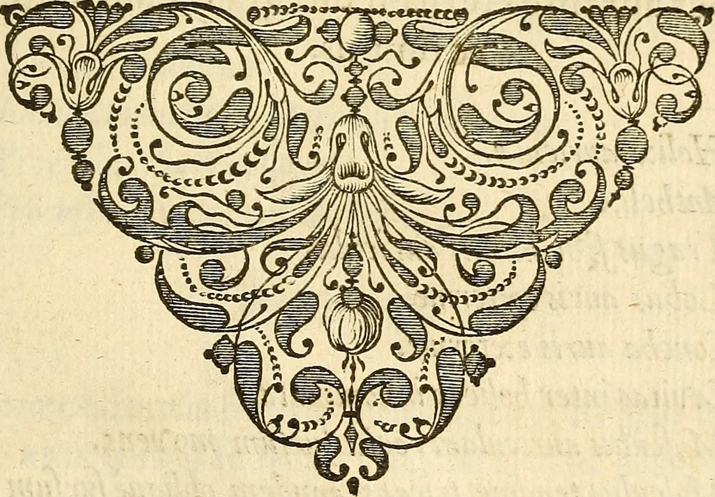 An illustration from Ioannis Veslingii ... Syntagma anatomicum, 1647, leaf 240