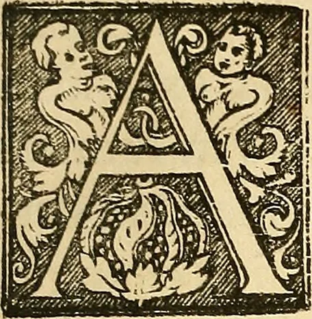 An illustration from Ioannis Veslingii ... Syntagma anatomicum, 1647, leaf 248