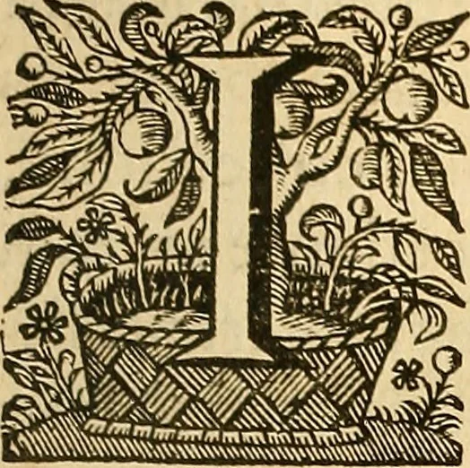 An illustration from Ioannis Veslingii ... Syntagma anatomicum, 1647, leaf 276