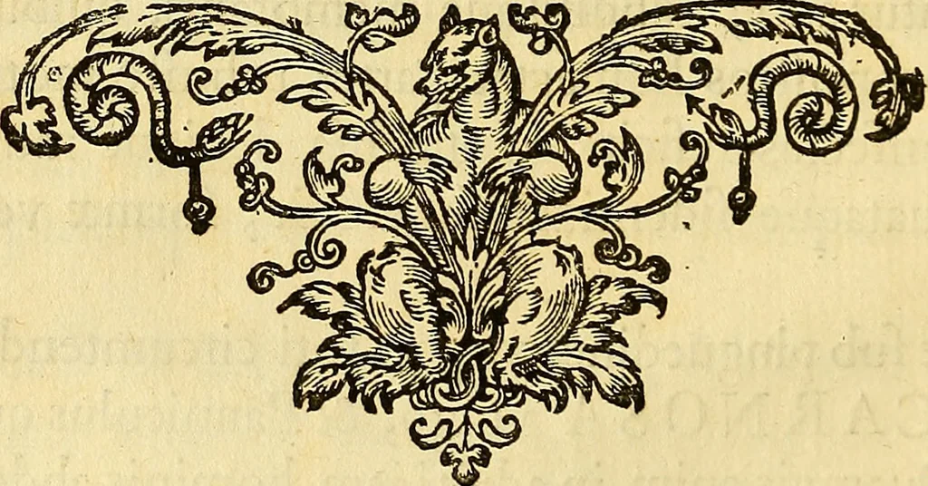 An illustration from Ioannis Veslingii ... Syntagma anatomicum, 1647, leaf 29