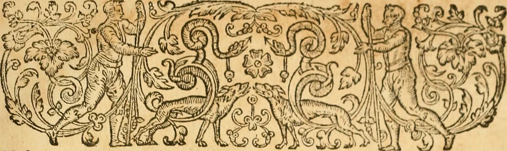 An illustration from Ioannis Veslingii ... Syntagma anatomicum, 1647, leaf 310