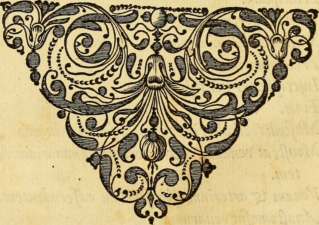 An illustration from Ioannis Veslingii ... Syntagma anatomicum, 1647, leaf 43