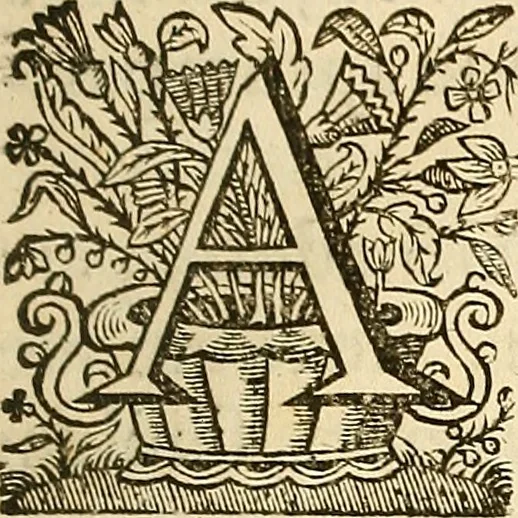 An illustration from Ioannis Veslingii ... Syntagma anatomicum, 1647, leaf 46