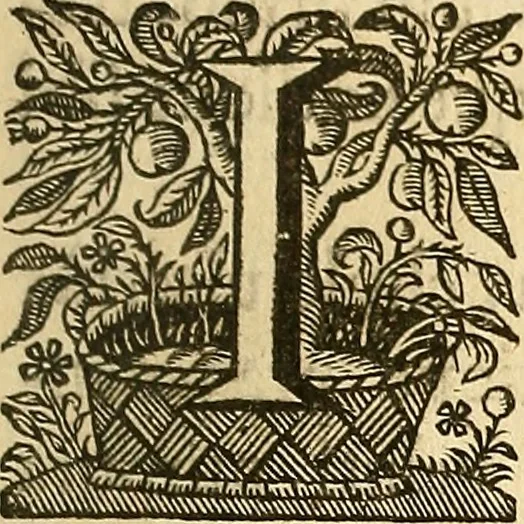 An illustration from Ioannis Veslingii ... Syntagma anatomicum, 1647, leaf 60