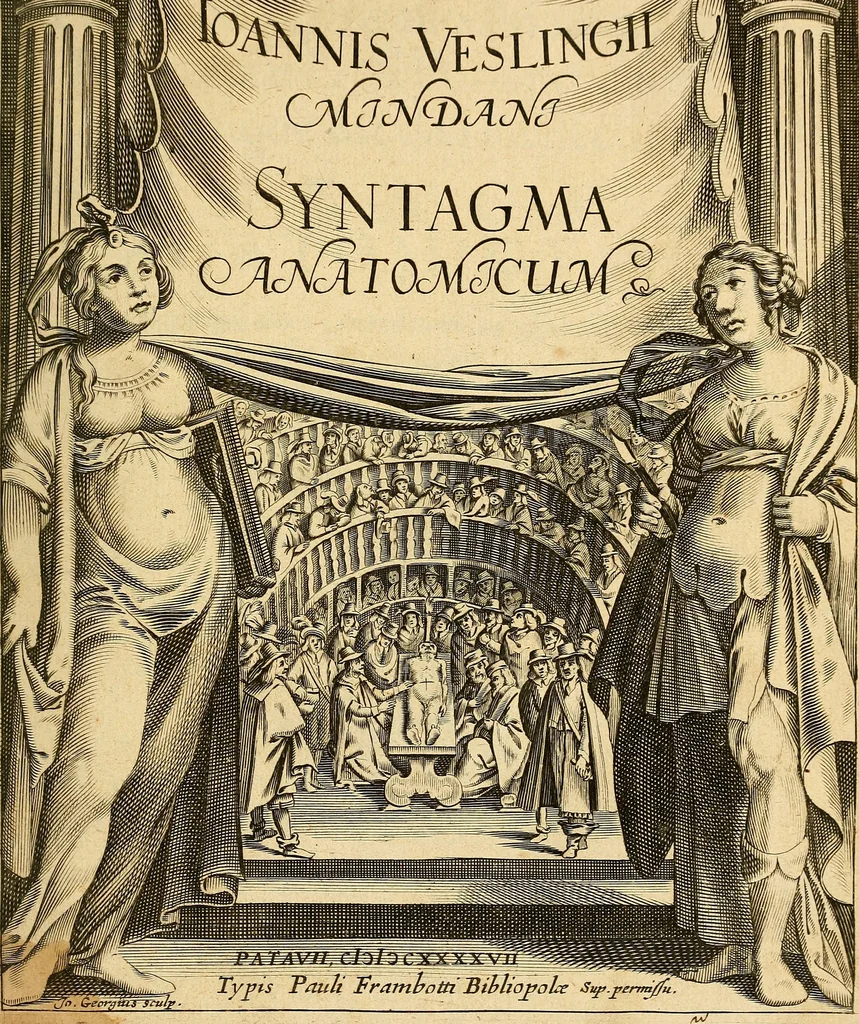 An illustration from Ioannis Veslingii ... Syntagma anatomicum, 1647, leaf 8