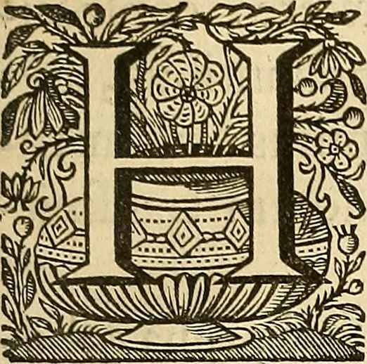 An illustration from Ioannis Veslingii ... Syntagma anatomicum, 1647, leaf 84