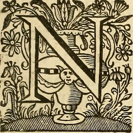 An illustration from Ioannis Veslingii ... Syntagma anatomicum, 1647, leaf 94