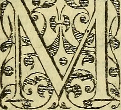An illustration from Ioannis VVieri De præstigiis dæmonvm, : et incantationibus ac ueneficijs libri sex, aucti & recogniti., 1568, leaf 353