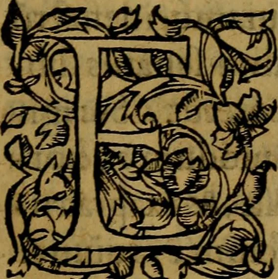 An illustration from Ioan. Veteris Orationes in medicinae commendationem : & in gratiam octodecim medicae laureae candidatorum institutae, ac in eorundem scholis per tres co[n]tinuos dies habitae, in quibus perpetua gymnasiorum corporis & animi comparatio explicatur .., 1560, leaf 102