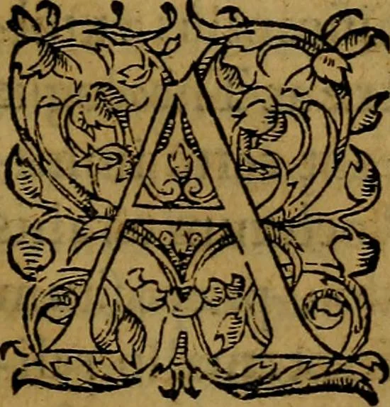 An illustration from Ioan. Veteris Orationes in medicinae commendationem : & in gratiam octodecim medicae laureae candidatorum institutae, ac in eorundem scholis per tres co[n]tinuos dies habitae, in quibus perpetua gymnasiorum corporis & animi comparatio explicatur .., 1560, leaf 106