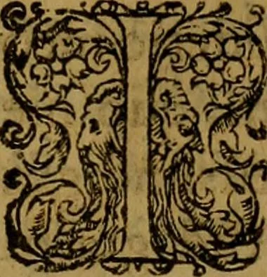 An illustration from Ioan. Veteris Orationes in medicinae commendationem : & in gratiam octodecim medicae laureae candidatorum institutae, ac in eorundem scholis per tres co[n]tinuos dies habitae, in quibus perpetua gymnasiorum corporis & animi comparatio explicatur .., 1560, leaf 112