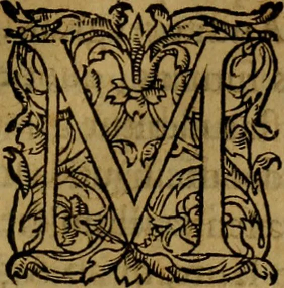 An illustration from Ioan. Veteris Orationes in medicinae commendationem : & in gratiam octodecim medicae laureae candidatorum institutae, ac in eorundem scholis per tres co[n]tinuos dies habitae, in quibus perpetua gymnasiorum corporis & animi comparatio explicatur .., 1560, leaf 122