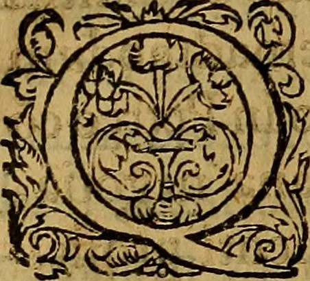 An illustration from Ioan. Veteris Orationes in medicinae commendationem : & in gratiam octodecim medicae laureae candidatorum institutae, ac in eorundem scholis per tres co[n]tinuos dies habitae, in quibus perpetua gymnasiorum corporis & animi comparatio explicatur .., 1560, leaf 127