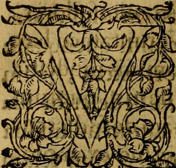 An illustration from Ioan. Veteris Orationes in medicinae commendationem : & in gratiam octodecim medicae laureae candidatorum institutae, ac in eorundem scholis per tres co[n]tinuos dies habitae, in quibus perpetua gymnasiorum corporis & animi comparatio explicatur .., 1560, leaf 135