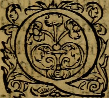 An illustration from Ioan. Veteris Orationes in medicinae commendationem : & in gratiam octodecim medicae laureae candidatorum institutae, ac in eorundem scholis per tres co[n]tinuos dies habitae, in quibus perpetua gymnasiorum corporis & animi comparatio explicatur .., 1560, leaf 140