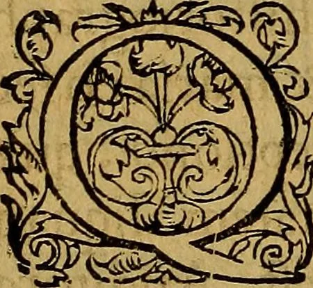 An illustration from Ioan. Veteris Orationes in medicinae commendationem : & in gratiam octodecim medicae laureae candidatorum institutae, ac in eorundem scholis per tres co[n]tinuos dies habitae, in quibus perpetua gymnasiorum corporis & animi comparatio explicatur .., 1560, leaf 147