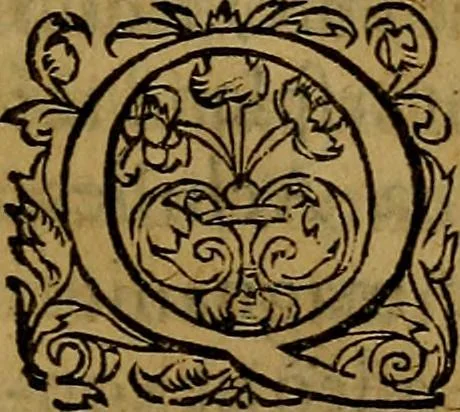 An illustration from Ioan. Veteris Orationes in medicinae commendationem : & in gratiam octodecim medicae laureae candidatorum institutae, ac in eorundem scholis per tres co[n]tinuos dies habitae, in quibus perpetua gymnasiorum corporis & animi comparatio explicatur .., 1560, leaf 154