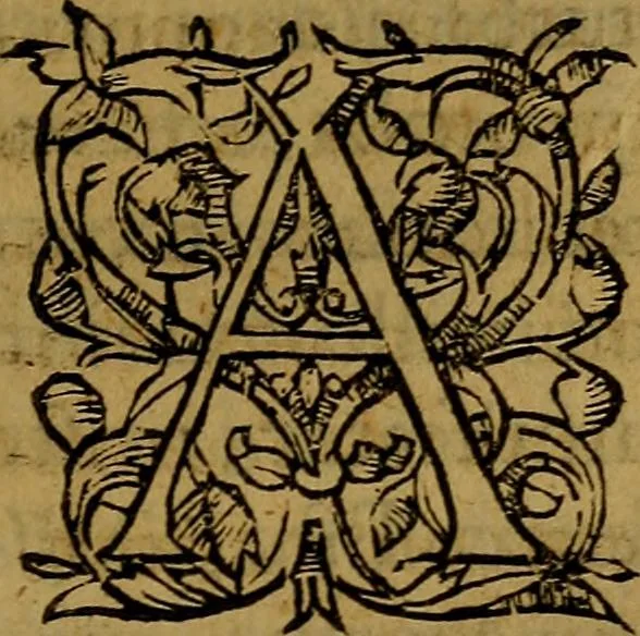 An illustration from Ioan. Veteris Orationes in medicinae commendationem : & in gratiam octodecim medicae laureae candidatorum institutae, ac in eorundem scholis per tres co[n]tinuos dies habitae, in quibus perpetua gymnasiorum corporis & animi comparatio explicatur .., 1560, leaf 78