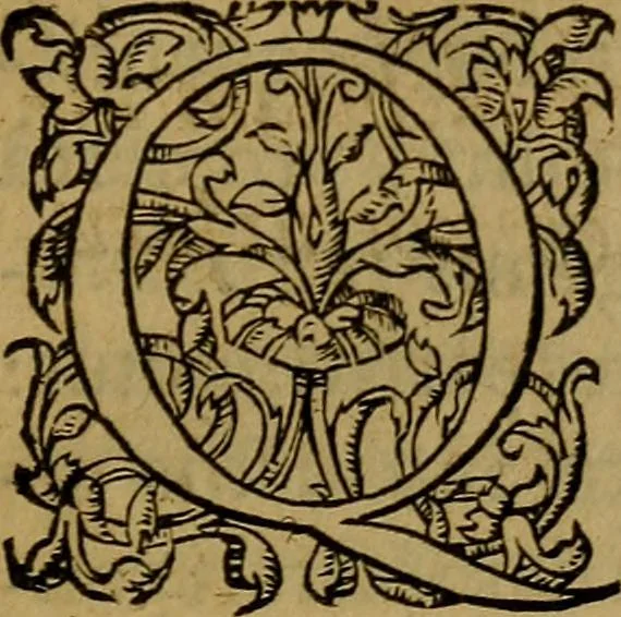 An illustration from Ioan. Veteris Orationes in medicinae commendationem : & in gratiam octodecim medicae laureae candidatorum institutae, ac in eorundem scholis per tres co[n]tinuos dies habitae, in quibus perpetua gymnasiorum corporis & animi comparatio explicatur .., 1560, leaf 8