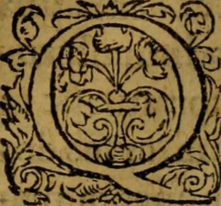 An illustration from Ioan. Veteris Orationes in medicinae commendationem : & in gratiam octodecim medicae laureae candidatorum institutae, ac in eorundem scholis per tres co[n]tinuos dies habitae, in quibus perpetua gymnasiorum corporis & animi comparatio explicatur .., 1560, leaf 84