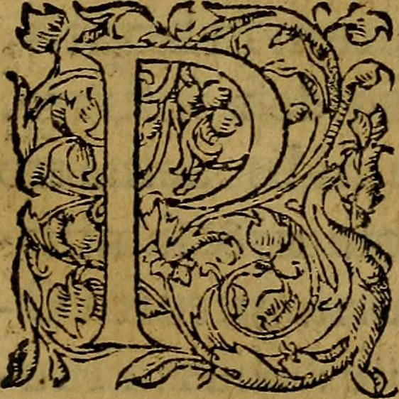An illustration from Ioan. Veteris Orationes in medicinae commendationem : & in gratiam octodecim medicae laureae candidatorum institutae, ac in eorundem scholis per tres co[n]tinuos dies habitae, in quibus perpetua gymnasiorum corporis & animi comparatio explicatur .., 1560, leaf 88