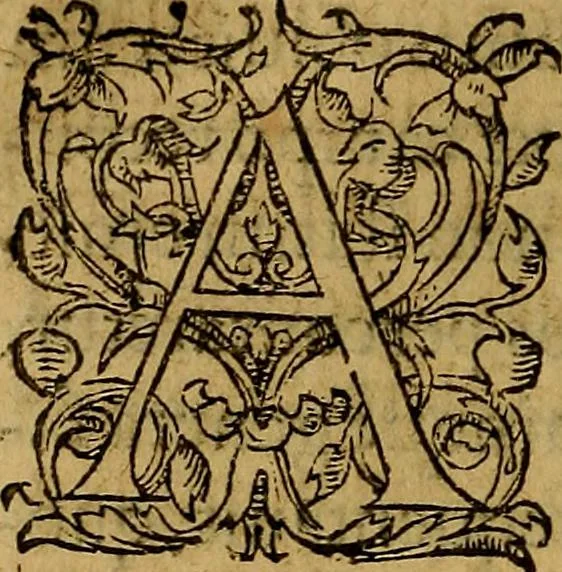 An illustration from Ioan. Veteris Orationes in medicinae commendationem : & in gratiam octodecim medicae laureae candidatorum institutae, ac in eorundem scholis per tres co[n]tinuos dies habitae, in quibus perpetua gymnasiorum corporis & animi comparatio explicatur .., 1560, leaf 97