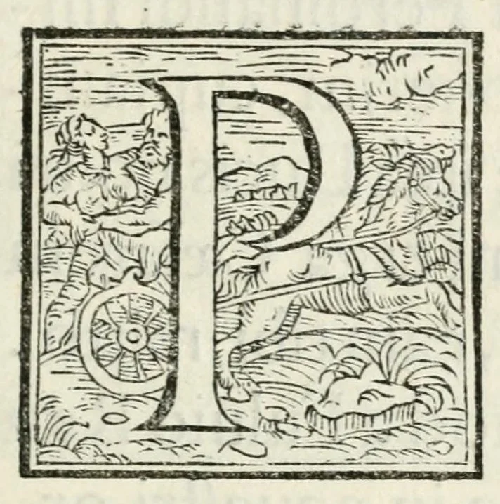 An illustration from Io. Bap. Pignae oratio in fvnere divi imp. Ferdinandi caes. avg, 1564, leaf 5