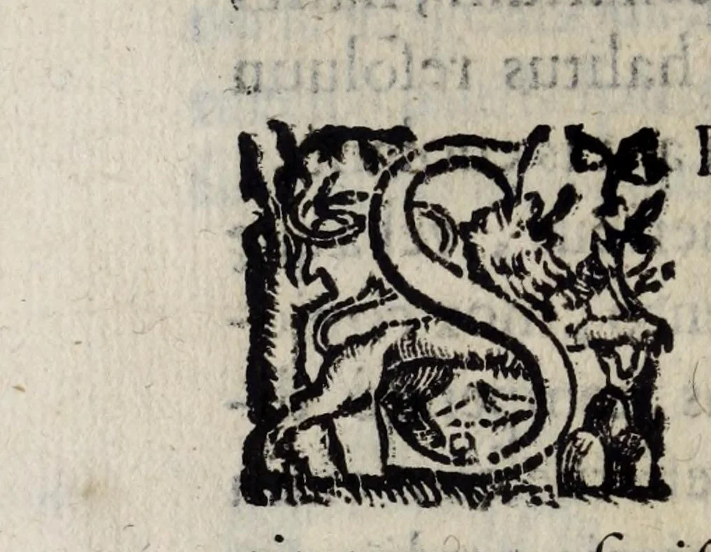 An illustration from Io. Bap. Portae Neapolitani De distillatione lib. IX : quibus certa methodo, multipliciq[ue] artificio, penitioribus naturae arcanis detectis, cuiuslibet mixti in propria elementa resolutio, perfectè docetur, 1608, leaf 154