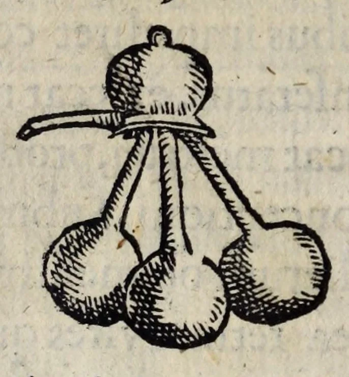 An illustration from Io. Bap. Portae Neapolitani De distillatione lib. IX : quibus certa methodo, multipliciq[ue] artificio, penitioribus naturae arcanis detectis, cuiuslibet mixti in propria elementa resolutio, perfectè docetur, 1608, leaf 166