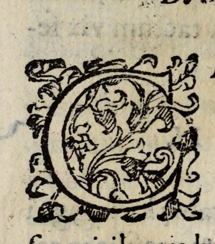 An illustration from Io. Bap. Portae Neapolitani De distillatione lib. IX : quibus certa methodo, multipliciq[ue] artificio, penitioribus naturae arcanis detectis, cuiuslibet mixti in propria elementa resolutio, perfectè docetur, 1608, leaf 172