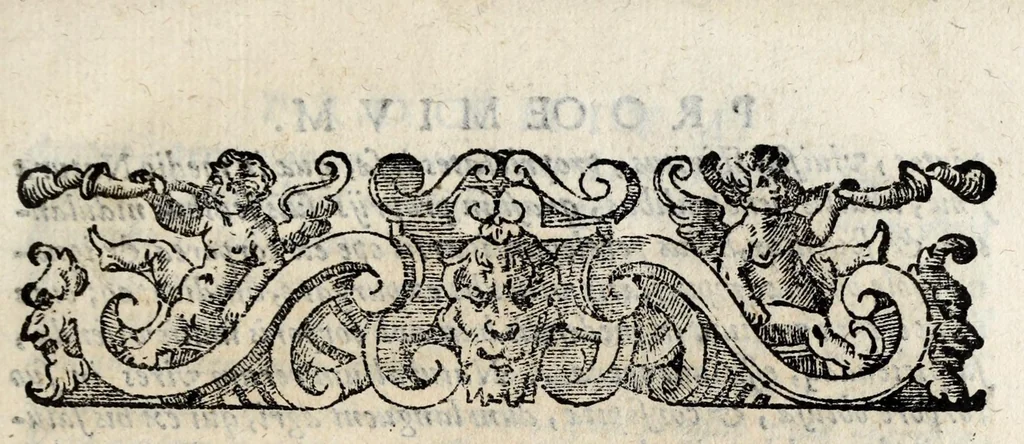 An illustration from Io. Bap. Portae Neapolitani De distillatione lib. IX : quibus certa methodo, multipliciq[ue] artificio, penitioribus naturae arcanis detectis, cuiuslibet mixti in propria elementa resolutio, perfectè docetur, 1608, leaf 21