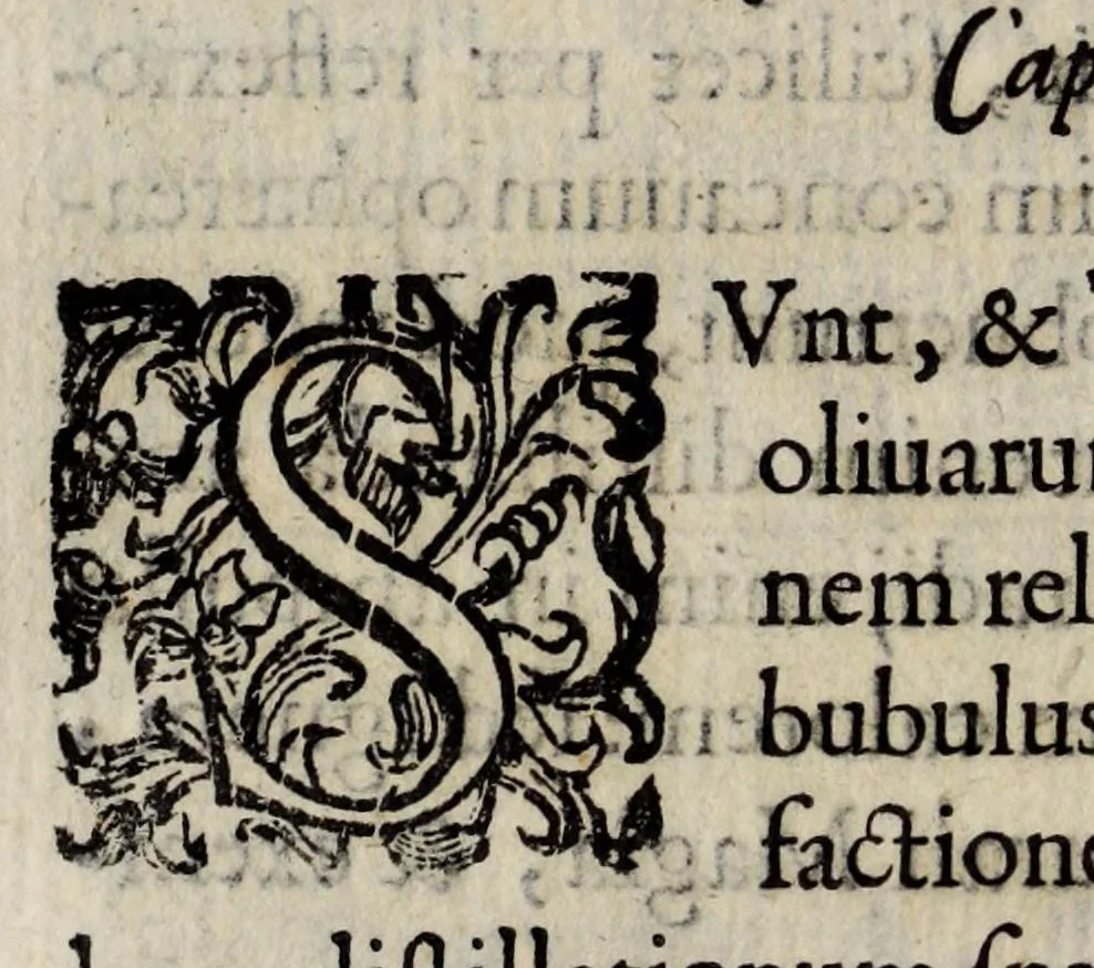 An illustration from Io. Bap. Portae Neapolitani De distillatione lib. IX : quibus certa methodo, multipliciq[ue] artificio, penitioribus naturae arcanis detectis, cuiuslibet mixti in propria elementa resolutio, perfectè docetur, 1608, leaf 54