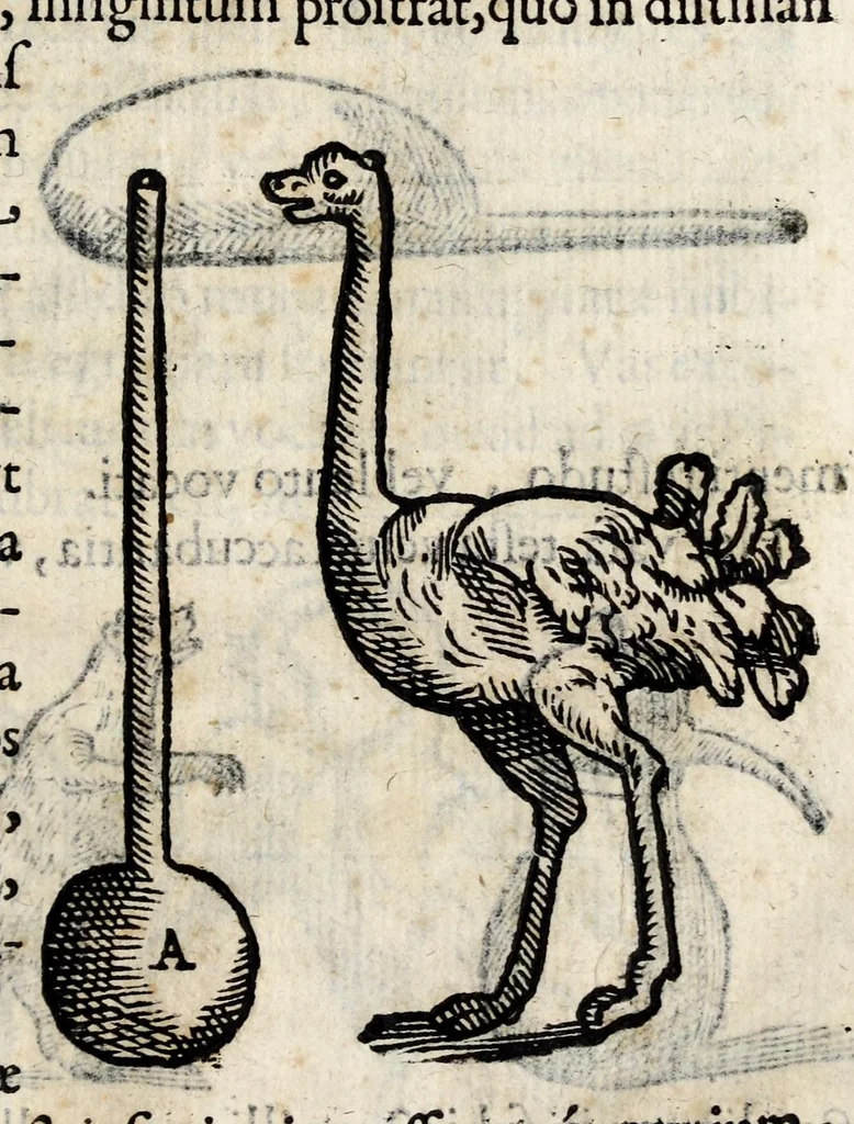 An illustration from Io. Bap. Portae Neapolitani De distillatione lib. IX : quibus certa methodo, multipliciq[ue] artificio, penitioribus naturae arcanis detectis, cuiuslibet mixti in propria elementa resolutio, perfectè docetur, 1608, leaf 61