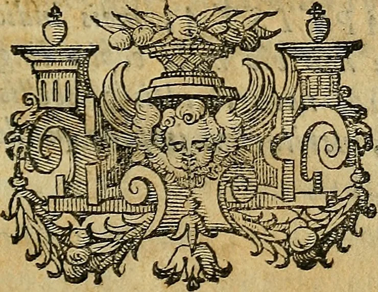 An illustration from Io. Bap. Portae Neopolitani de distillatione lib. IX : quibus certa methodo, multipliciq[ue] artificio, penitioribus naturae arcanis detectis, cuius libet mixti in propria elementa resolutio, perfectè docetur, 1608, leaf 10