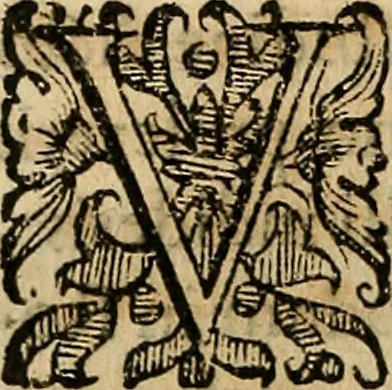An illustration from Io. Bap. Portae Neopolitani de distillatione lib. IX : quibus certa methodo, multipliciq[ue] artificio, penitioribus naturae arcanis detectis, cuius libet mixti in propria elementa resolutio, perfectè docetur, 1608, leaf 103