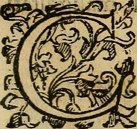 An illustration from Io. Bap. Portae Neopolitani de distillatione lib. IX : quibus certa methodo, multipliciq[ue] artificio, penitioribus naturae arcanis detectis, cuius libet mixti in propria elementa resolutio, perfectè docetur, 1608, leaf 106