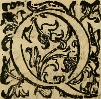 An illustration from Io. Bap. Portae Neopolitani de distillatione lib. IX : quibus certa methodo, multipliciq[ue] artificio, penitioribus naturae arcanis detectis, cuius libet mixti in propria elementa resolutio, perfectè docetur, 1608, leaf 107