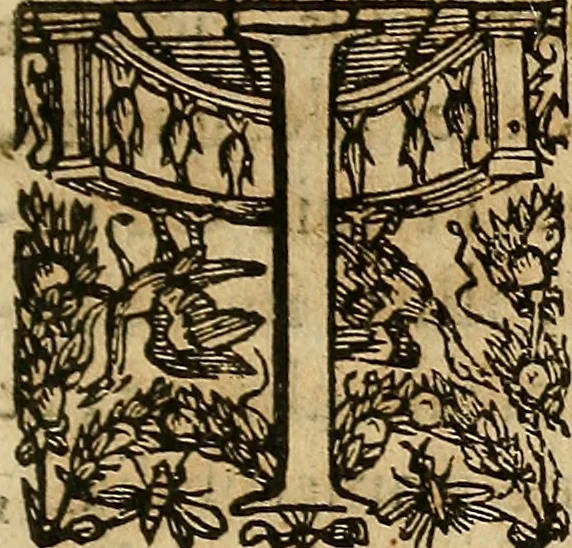 An illustration from Io. Bap. Portae Neopolitani de distillatione lib. IX : quibus certa methodo, multipliciq[ue] artificio, penitioribus naturae arcanis detectis, cuius libet mixti in propria elementa resolutio, perfectè docetur, 1608, leaf 114