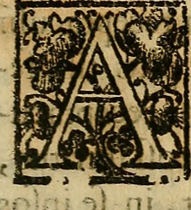 An illustration from Io. Bap. Portae Neopolitani de distillatione lib. IX : quibus certa methodo, multipliciq[ue] artificio, penitioribus naturae arcanis detectis, cuius libet mixti in propria elementa resolutio, perfectè docetur, 1608, leaf 126