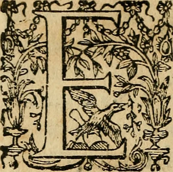 An illustration from Io. Bap. Portae Neopolitani de distillatione lib. IX : quibus certa methodo, multipliciq[ue] artificio, penitioribus naturae arcanis detectis, cuius libet mixti in propria elementa resolutio, perfectè docetur, 1608, leaf 133